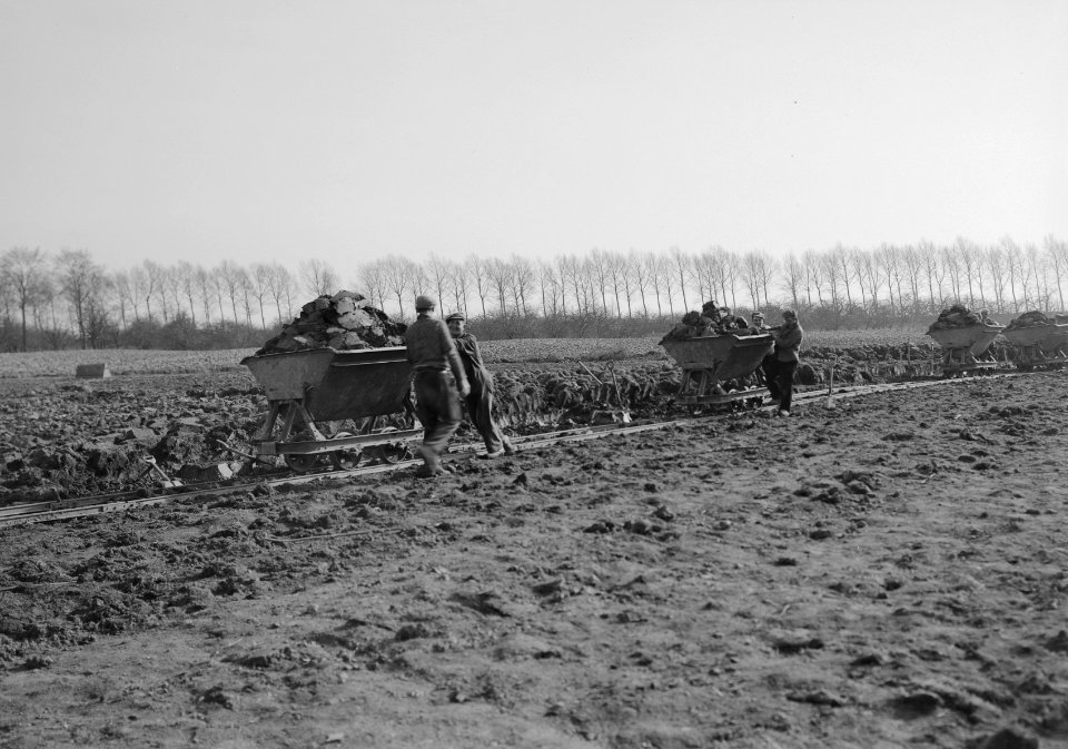 Ontginning, grondbewerking, egaliseren, bezanden, kipkarren, arbeiders, Bestanddeelnr 159-0034