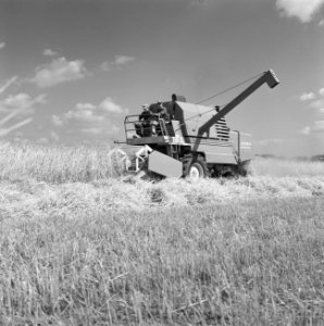 Ontginning, zaaien, gewassenoogst, ruilverkavelingen, gendringen, Bestanddeelnr 168-0437