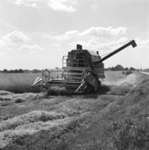 Ontginning, zaaien, gewassenoogst, ruilverkavelingen, gendringen, Bestanddeelnr 168-0434