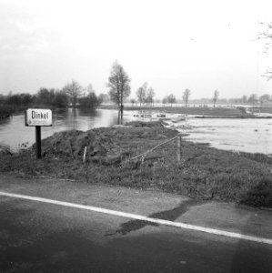 Ontginning, vee in de weide, algemene beelden, turfsteekreportage, overstrominge, Bestanddeelnr 160-0122