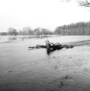 Ontginning, vee in de weide, algemene beelden, turfsteekreportage, overstrominge, Bestanddeelnr 160-0117