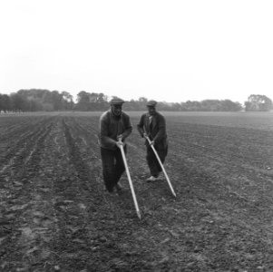 Ontginning, grondbewerking, egaliseren, bezanden, arbeiders, kavels, Bestanddeelnr 165-0822