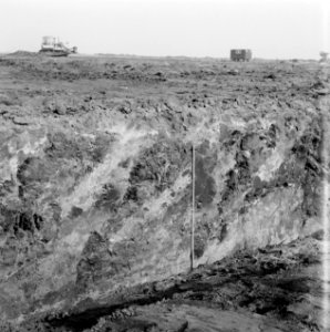 Ontginning, grondbewerking, egaliseren, bezanden, Bestanddeelnr 250-8241