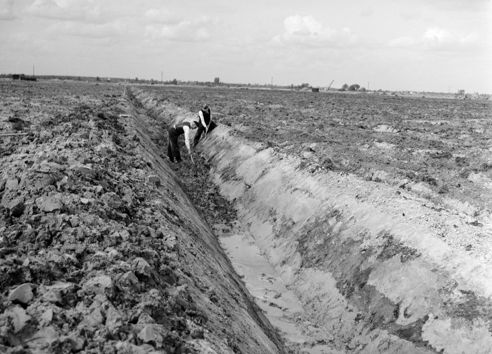 Ontginning, grondbewerking, egaliseren, bezanden, Bestanddeelnr 250-8173