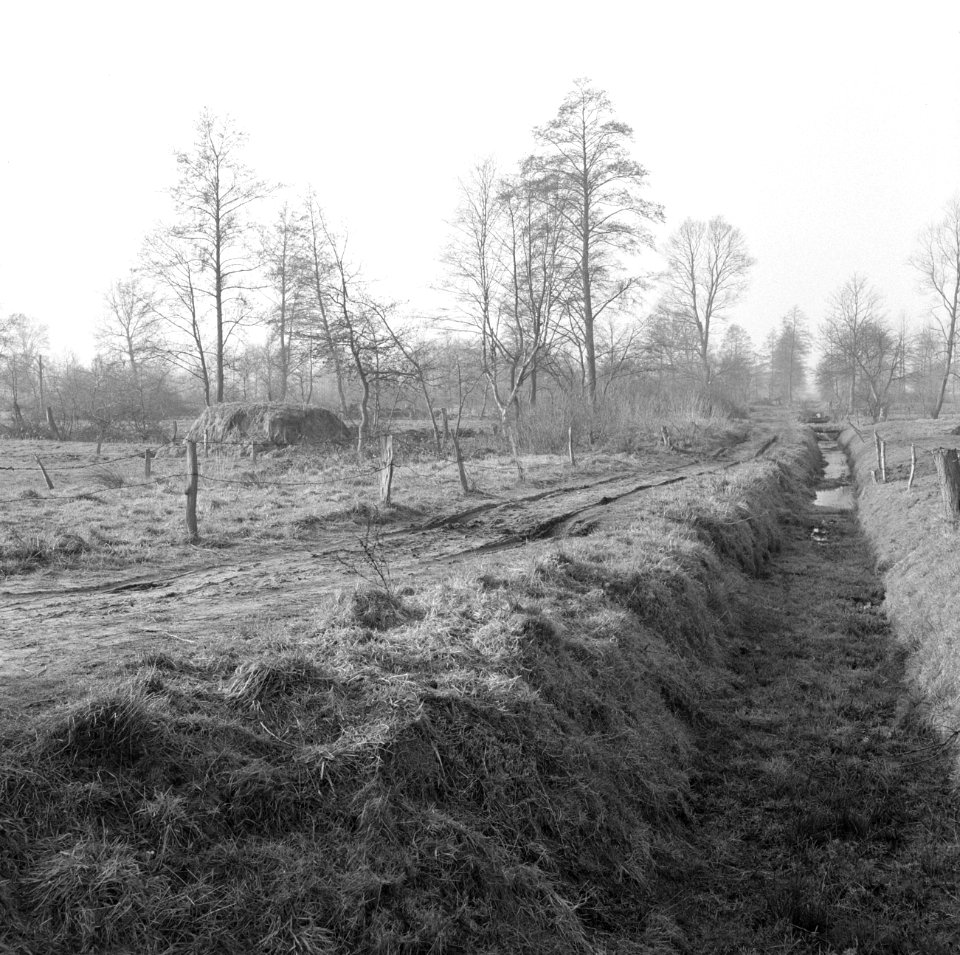 Ontginning, grondbewerking, egaliseren, bezanden, Bestanddeelnr 159-0271
