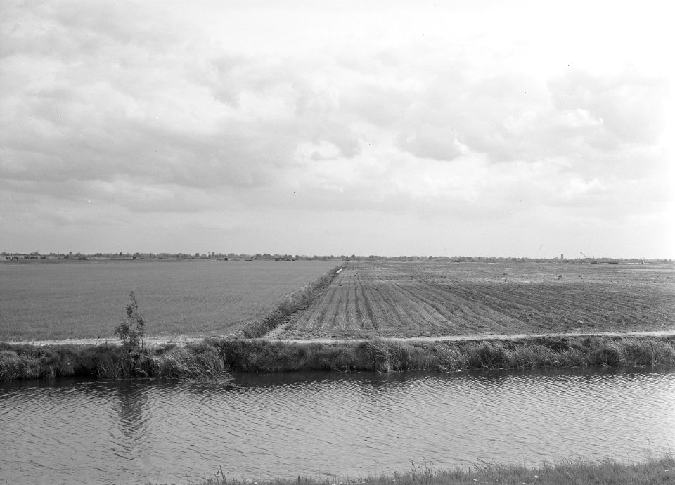 Ontginning, grondbewerking, egaliseren, bezanden, Bestanddeelnr 159-0199
