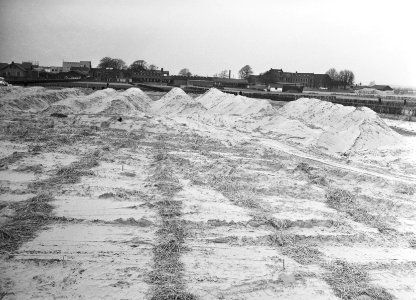 Ontginning, grondbewerking, egaliseren, bezanden, Bestanddeelnr 159-0174