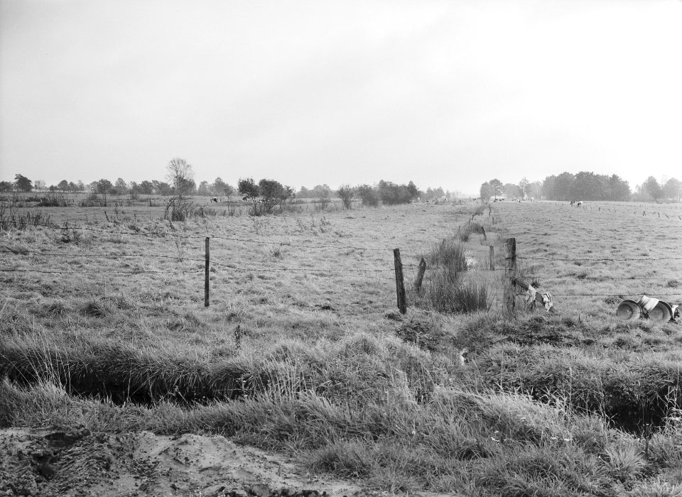 Ontginning, grondbewerking, egaliseren, bezanden, Bestanddeelnr 159-0219