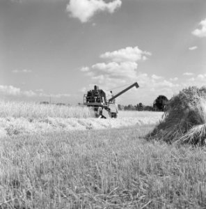 Ontginning, zaaien, gewassenoogst, ruilverkavelingen, gendringen, Bestanddeelnr 168-0433