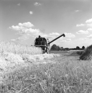 Ontginning, zaaien, gewassenoogst, ruilverkavelingen, gendringen, Bestanddeelnr 168-0436