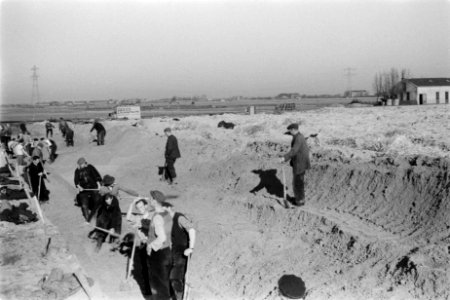 Ontginningen, grondbewerking, egaliseren, bezanden, diepspitten, bronbemaling, b, Bestanddeelnr 170-0617