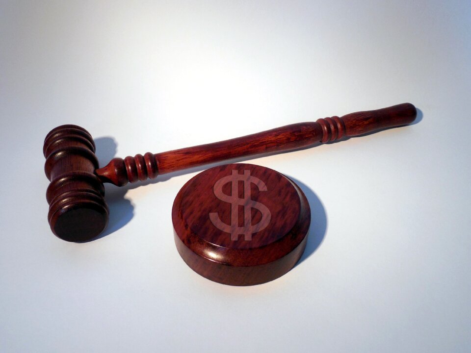 Dollar sign fine justice