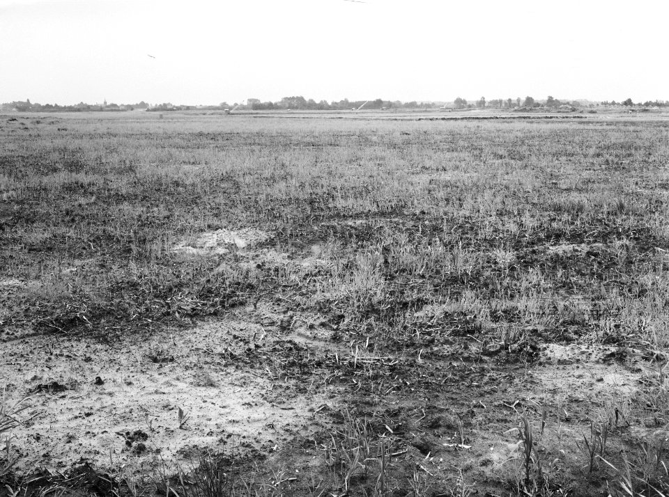 Ontginning, grondbewerking, egaliseren, bezanden, overzichten, veengebieden, 'he, Bestanddeelnr 159-0480