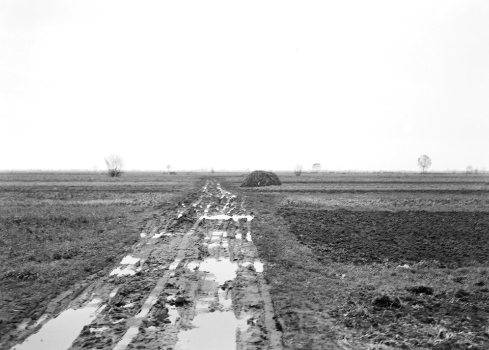 Ontginning, grondbewerking, egaliseren, bezanden, bovenweg, west bovenland, Bestanddeelnr 159-0147