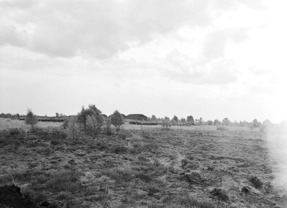 Ontginning, grondbewerking, egaliseren, bezanden, heide, turfhopen, Bestanddeelnr 159-0196