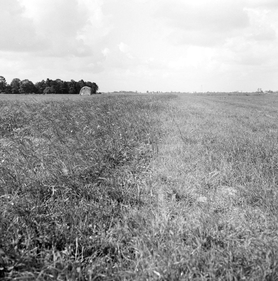 Ontginning, grondbewerking, egaliseren, bezanden, graslanden, Haerst, Genne, Bestanddeelnr 159-0392