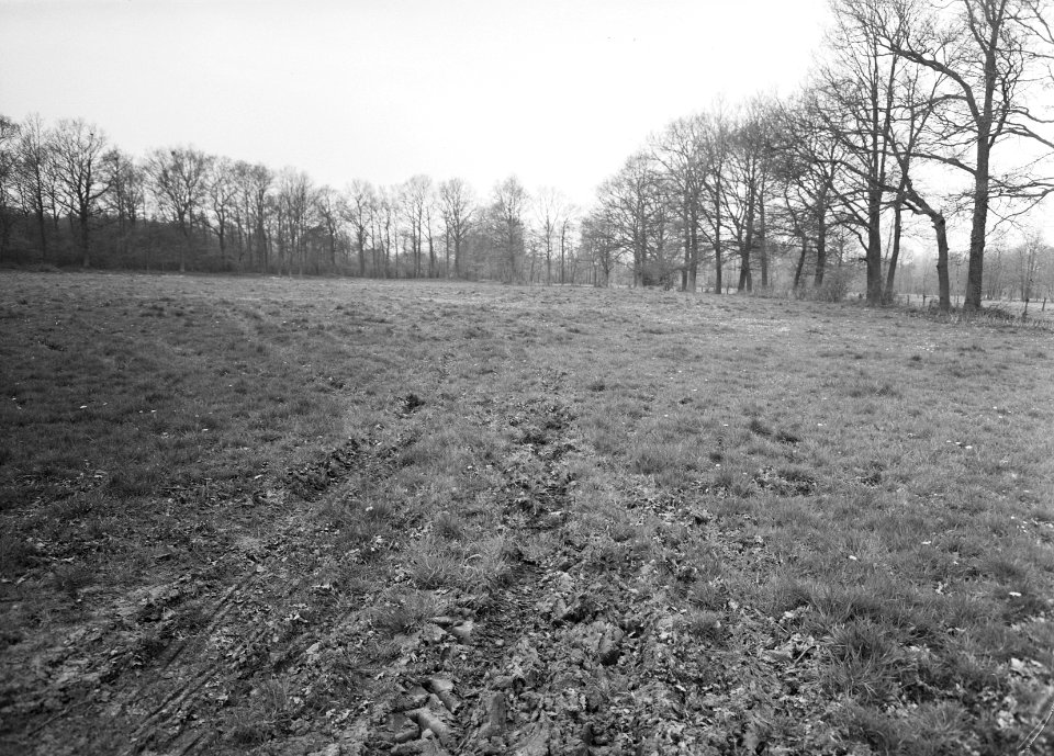 Ontginning, grondbewerking, egaliseren, bezanden, graslanden, Bestanddeelnr 159-0317
