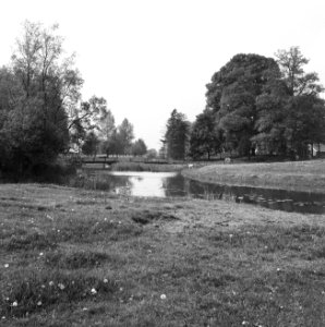 Ontginning, vee in de weide, algemene beelden, turfsteekreportage, water waalse, Bestanddeelnr 160-0108