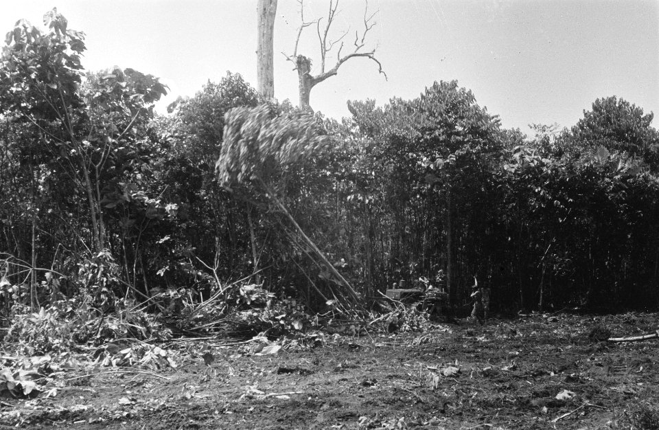 Ontginnen van bosgebied, Bestanddeelnr 1947