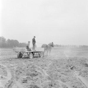 Ontginning, grondbewerking, egaliseren, bezanden, arbeiders, paard en wagen, kal, Bestanddeelnr 159-0609