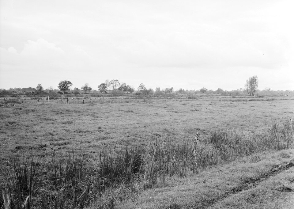 Ontginning, grondbewerking, egaliseren, bezanden, Bestanddeelnr 159-0217