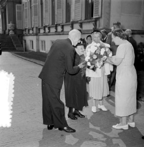 Ontvangst Ouden van Dagen op Paleis Soestdijk, Bestanddeelnr 905-7723