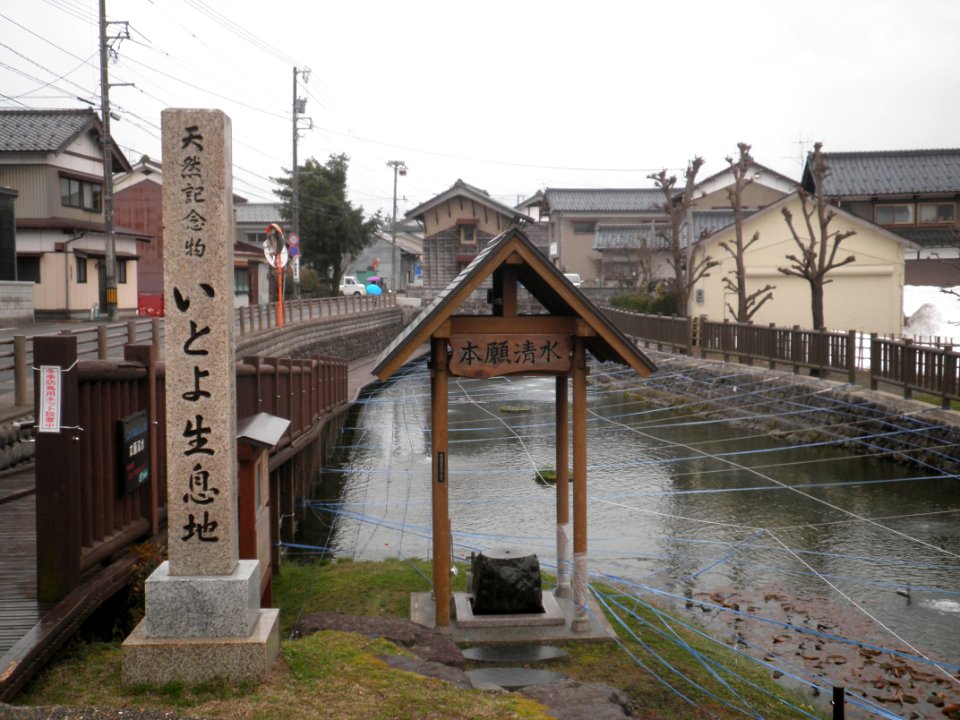 Ono Hongan Shozu1