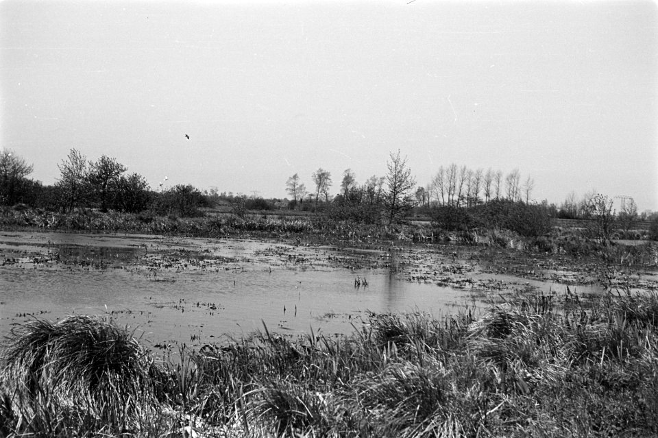 Onontgonnen grond, tolbetter petten (het Kret), Groningen, Bestanddeelnr 170-0272