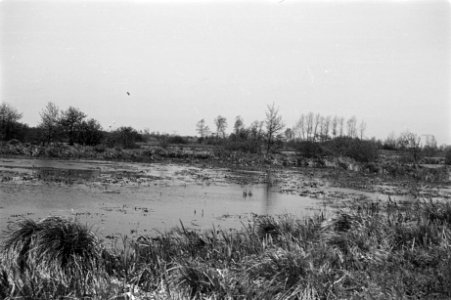 Onontgonnen grond, tolbetter petten (het Kret), Groningen, Bestanddeelnr 170-0272