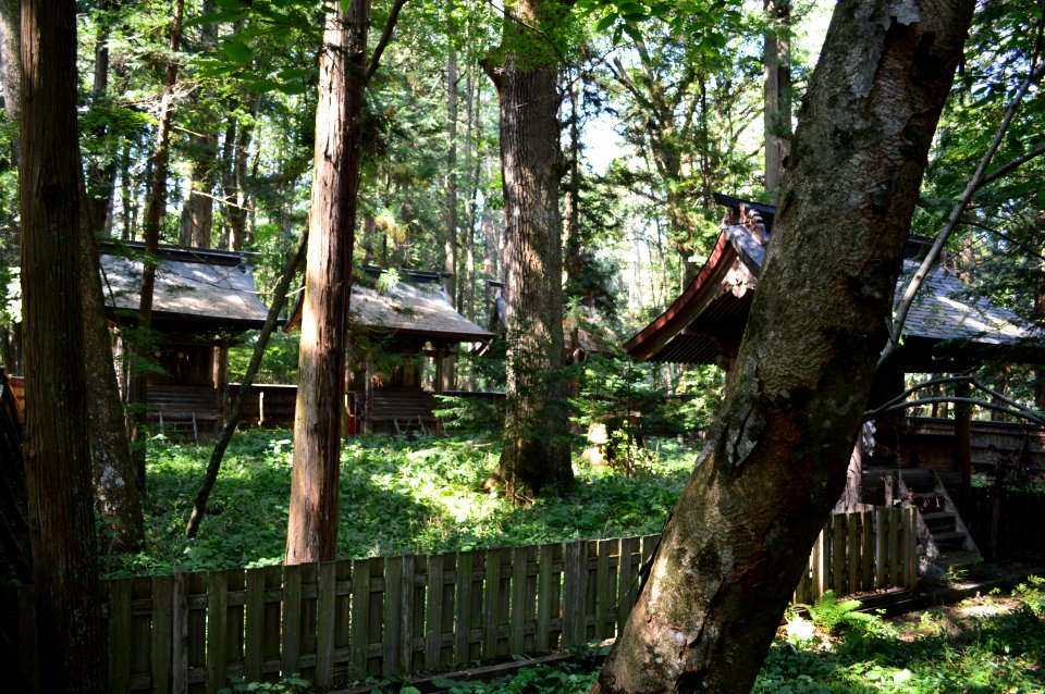 Ono-jinja (Shiojiri) honden