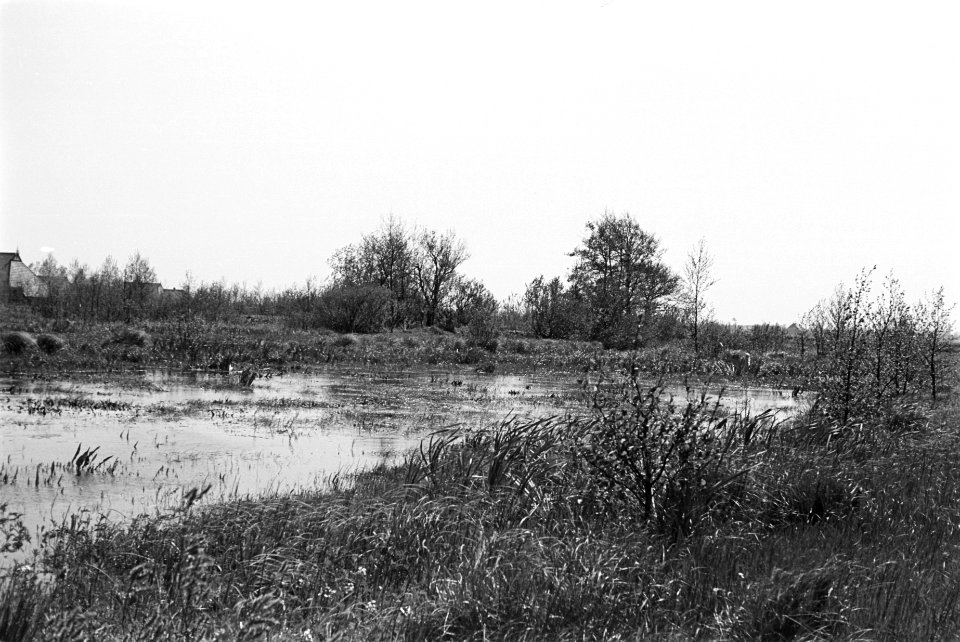 Onontgonnen grond, tolbetter petten (het Kret), Groningen, Bestanddeelnr 170-0273