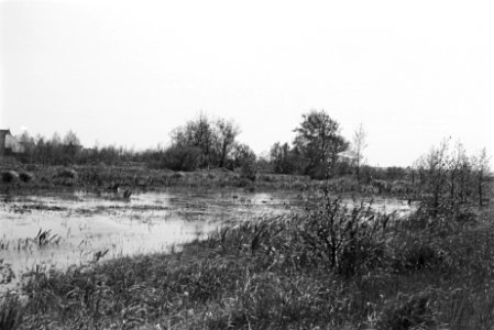 Onontgonnen grond, tolbetter petten (het Kret), Groningen, Bestanddeelnr 170-0273