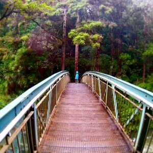 Night if new zealand whangarei falls