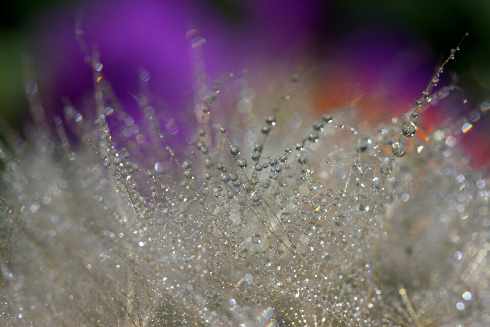 Water plant wet
