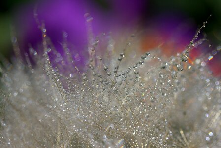 Water plant wet