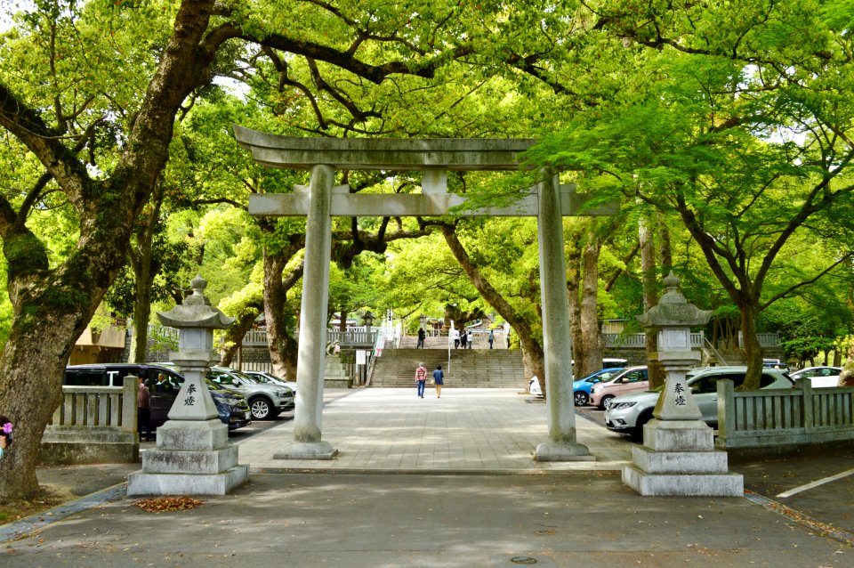 Oasahiko-jinja, torii