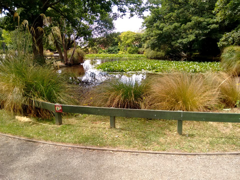 Oamaru Public Gardens - Duck pond