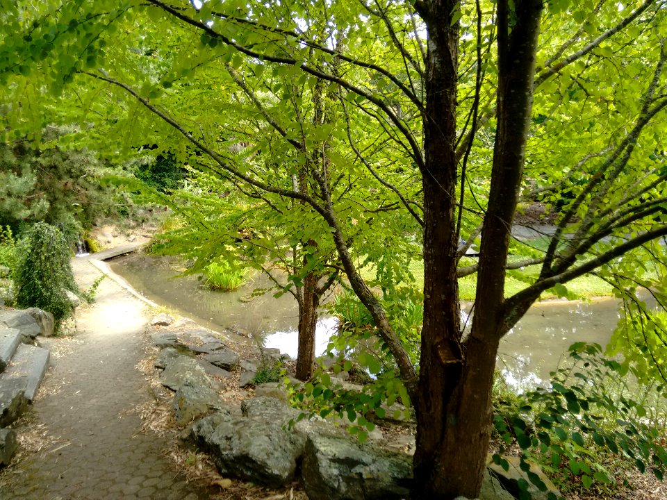 Oamaru Public Gardens - Chinese Garden (pond)