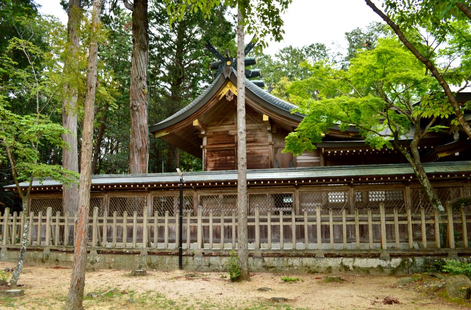 Oasahiko-jinja, honden-1