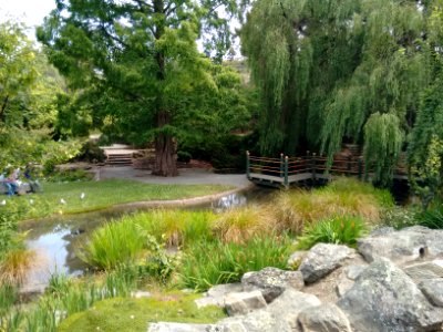 Oamaru Public Gardens - Chinese Garden (stream)