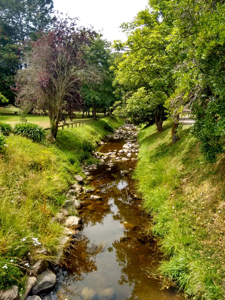 Oamaru Public Gardens - Creek (from Stony Bridge)