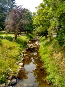 Oamaru Public Gardens - Creek (from Stony Bridge)
