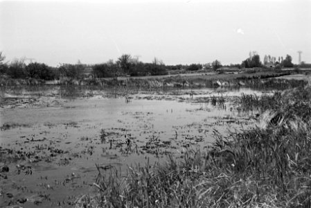 Onontgonnen grond, tolbetter petten (het Kret), Groningen, Bestanddeelnr 170-0271