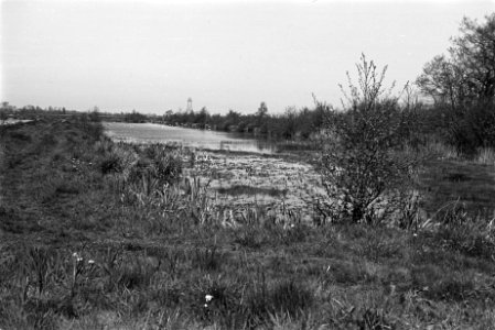 Onontgonnen grond, tolbetter petten (het Kret), Groningen, Bestanddeelnr 170-0274