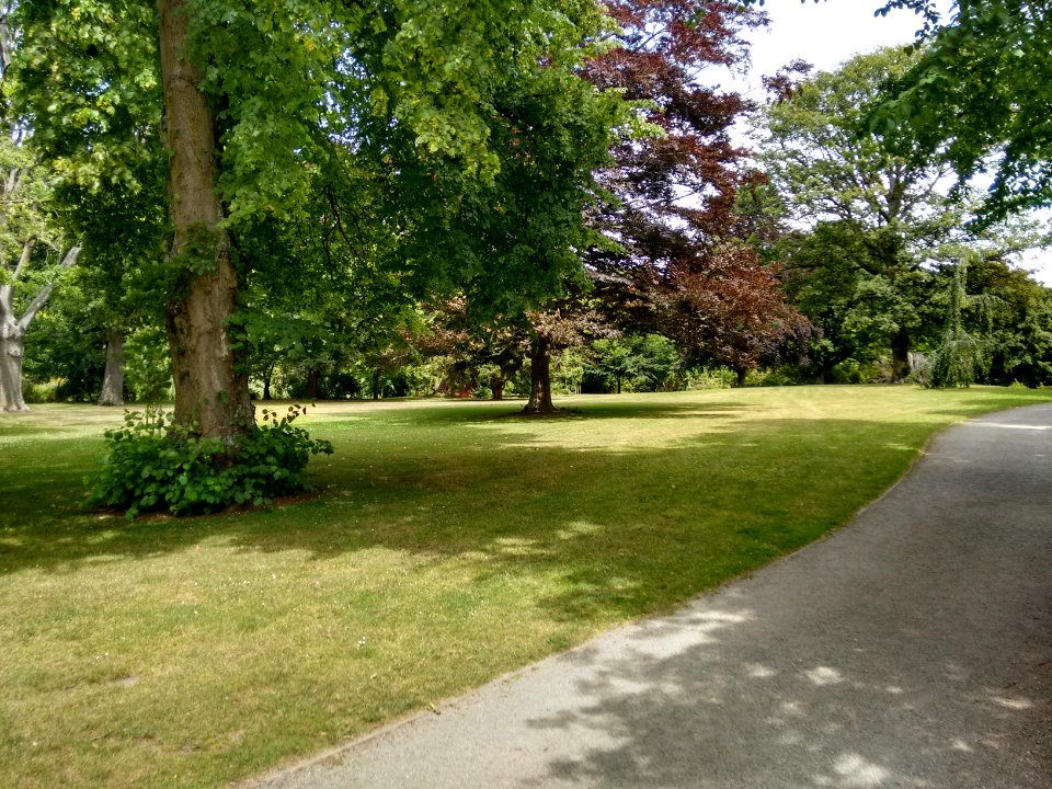 Oamaru Public Gardens - Path and lawn area