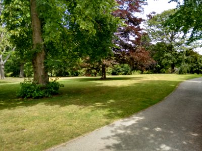 Oamaru Public Gardens - Path and lawn area