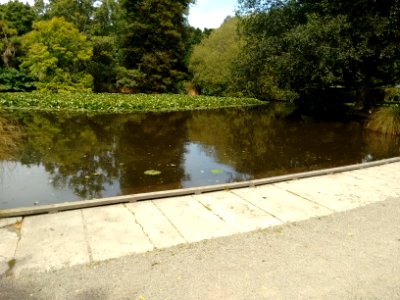 Oamaru Public Gardens - Duck pond (feeding platform)