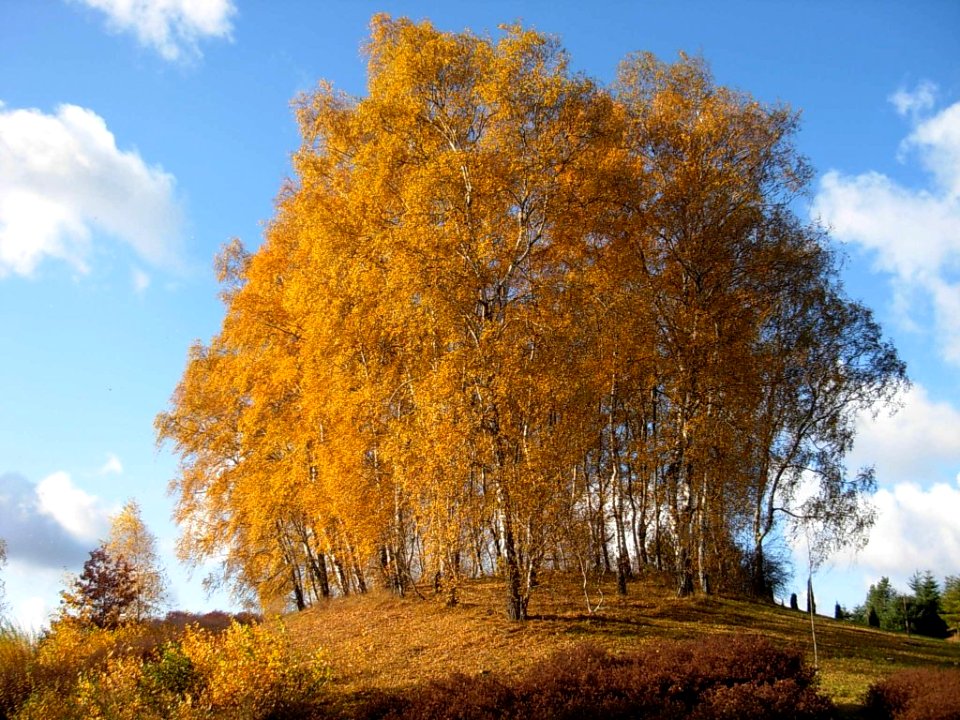 OB jesienią 4