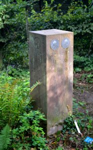 Oberrad, Waldfriedhof, Grab 1 O 1 UG Wislicenus-Haag-Schütz (1)