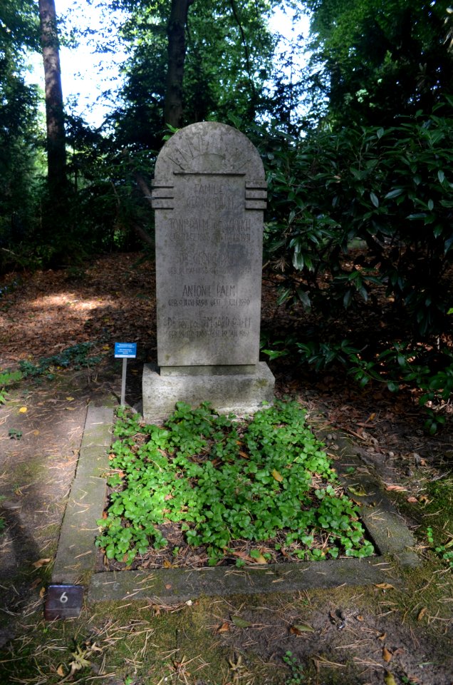 Oberrad, Waldfriedhof, Grab 2 J 6 Palm